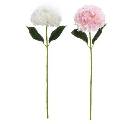 Ks hydrangea mix/2f 66cm