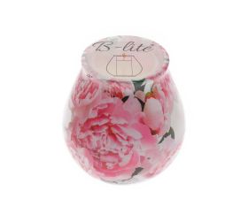 Antimoskyto v skle s72s-01 120gr