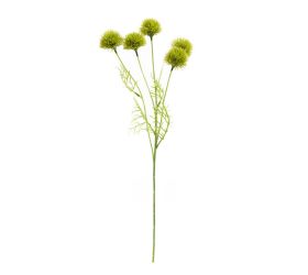 Konár karafiát barbatus green trick 50cm