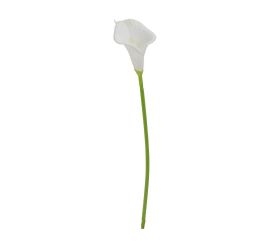 Ks calla biela 34cm