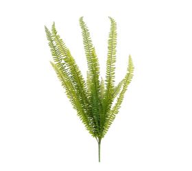 Zeleň papraď- nephrolepsis 90cm