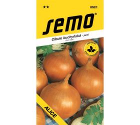 Cibuľa jarná alica 2g