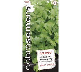 Koriander siaty calypso 2g