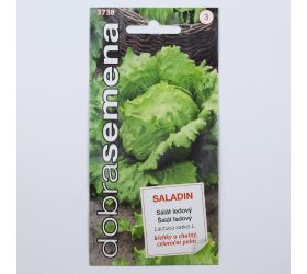 Šalát ľadový saladin 0,6g