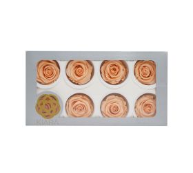 Ruža preparovaná 5cm cantaloupe /bal.8ks