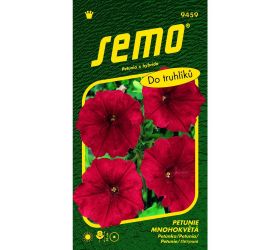 Petunia veľkokv láska f1 50p