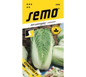 Kapusta pekinská concord f1 50s