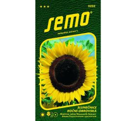 Slnečnica ročná obrovská 2g