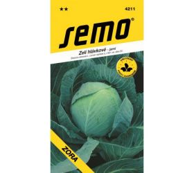 Kapusta skorá zora 0,8g