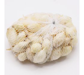 Cibuľa sad. ala, wh.globe, snowball 250g /80ks/