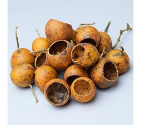 I073n golden pod s/20