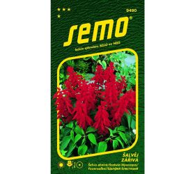 Šalvia karkulka 0,5g