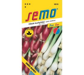 Cibuľa zmes farieb 2g