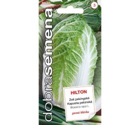 Kapusta pekingská hilton 100s