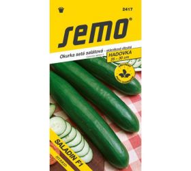 Uhorka skl saladin f1 10s