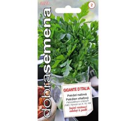 Petržlen vň. gigante d´italia 4g