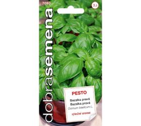 Bazalka pravá - pesto 0,3g