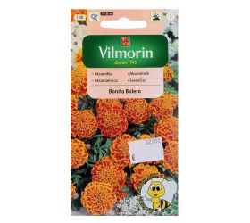 Aksamietnica rozložitá bonita bolero 1g