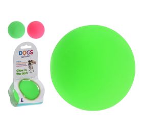 Hračka pre psa lopta 2ass 496100020