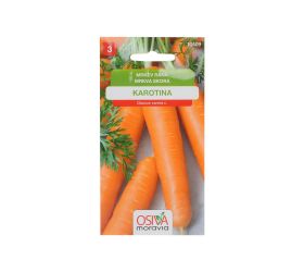 Mrkva skorá karotina 2g
