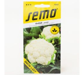 Karfiol snow lady letny a jesenný 50s.