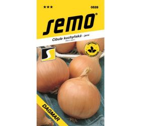 Cibuľa jarná dagmar 2,5g