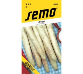 Špargľa biela argenteuil 2,5g