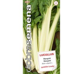 Mangold lucullus 3g
