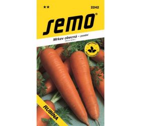 Mrkva nes darina (rubína) 3g