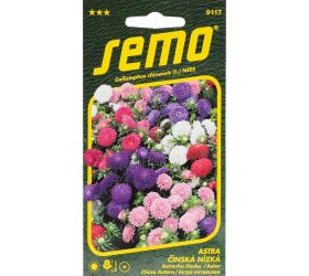 Astra čínska níz colour carpet 0,5g