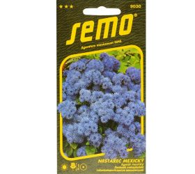 Agerát mexický tetra blue mink 0,2g