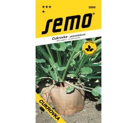 Repa cukrová fabius 40s