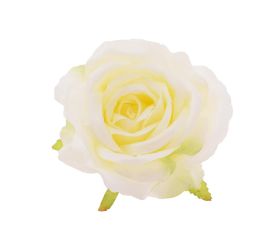 Hlava ruža krémová priem:10cm bal:12ks