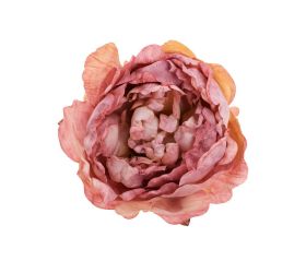 Ks hlava pivonka staroružová 10cm