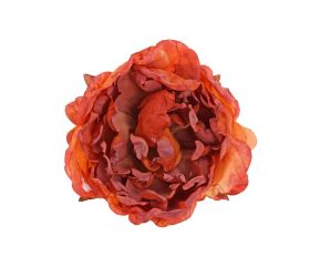 Ks hlava pivonka oranžovo-červená 10cm