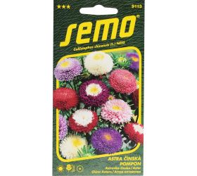 Astrovka čínska pompon zmes 0,5g