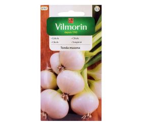 Cibuľa tonda musona 2g