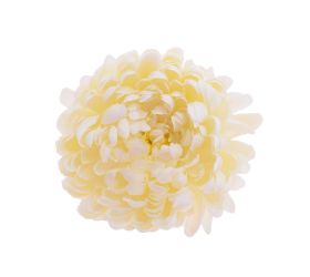 Hlava chryzantéma krémová bal/6 12cm