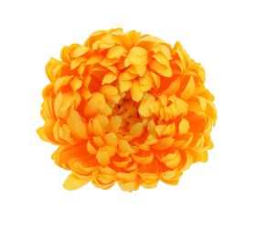 Hlava chryzantéma žltá bal/6 12cm