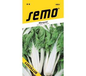 Mangold lucullus 3g
