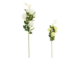 Ks ruža 5-hláv, zeleň, mix/2f 77cm