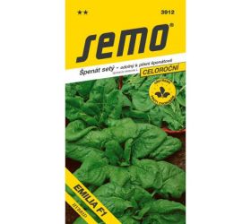 Špenát sacramento/ la paz f1 5g