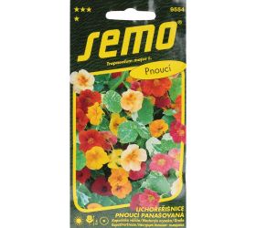 Kapucínka väčšia out of africa 2g