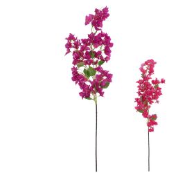 Konár bugenvilea mix/2f 110cm