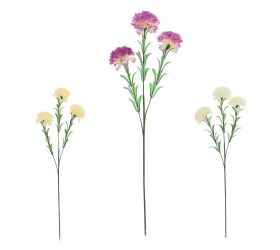 Ks karafiát, mix/3f 60cm