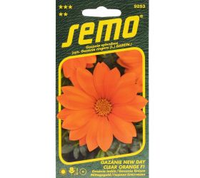 Gazánia lesklá new day clear orange f1 15s