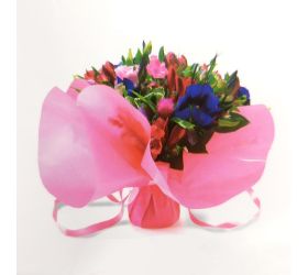 520071-75 fl.ct de 10x10speedo taška pvc sťahovacia