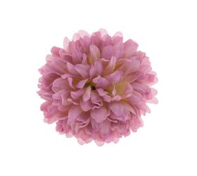 Hlava chryzantéma 10 cm bal.12ks ružová