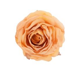 Hlava ruža žltá 6cm