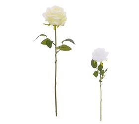 Ks ruža, zeleň mix/2f 45cm